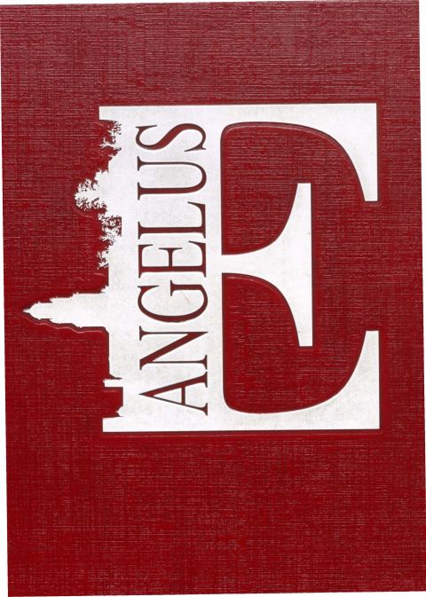 Cover of the 2016 East High School yearbook